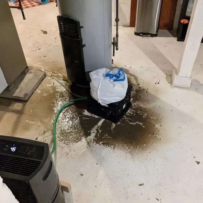 Sewage Backup Cleanup Service in Saint James, MO